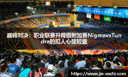 巅峰对决：职业联赛升降级附加赛NigmavsTundra的扣人心弦较量